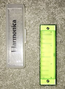 Harmonica with case
