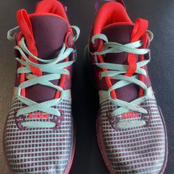 Nike Kids' LeBron Witness 7 SE sneakers in 'Team Red Jade'