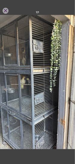 Cages
