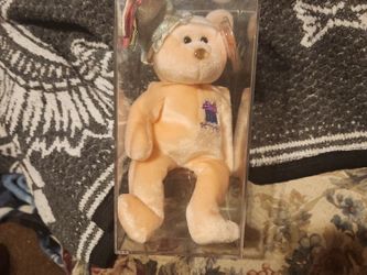 Beanie Baby In Cases