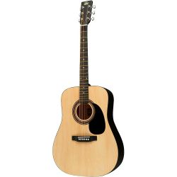 Dreadnought Acoustic Guitar