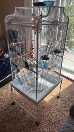 Bird cage
