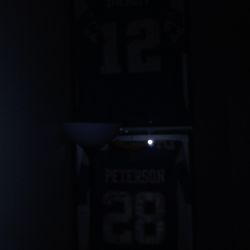 Superbowl Pat's Jersey N Baltimore Autograph