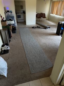 Lon hallway rug 14 feet