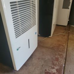 Dehumidifiers 