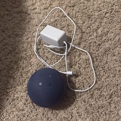 Alexa- blue- with charger