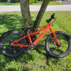 Kids Mountain Bike