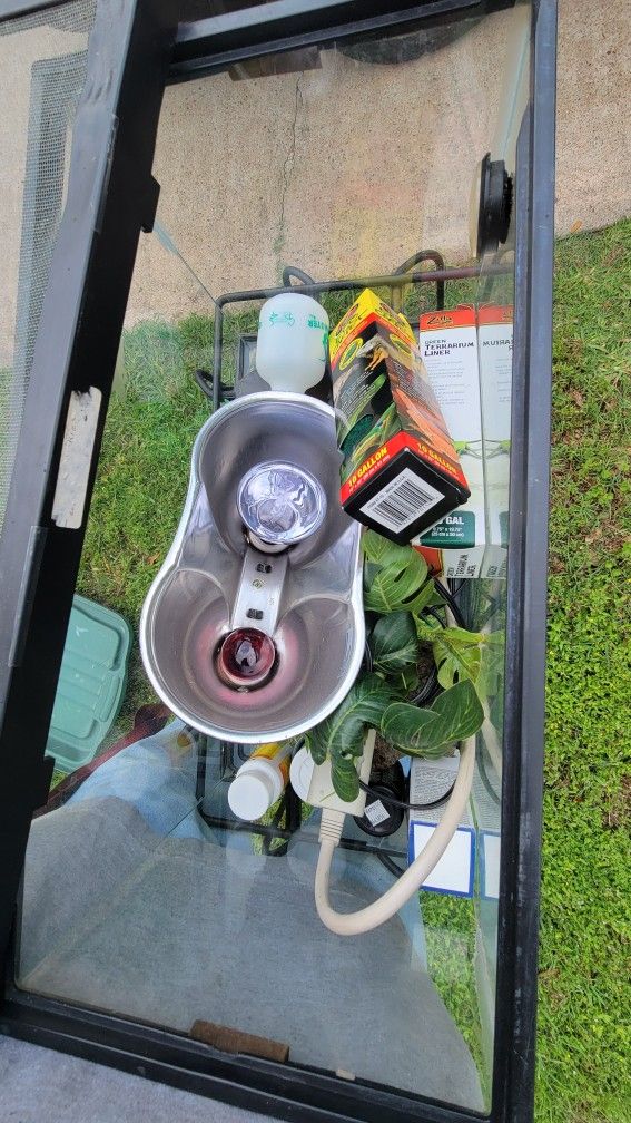 10 Gallon Tank, Stand And Decor