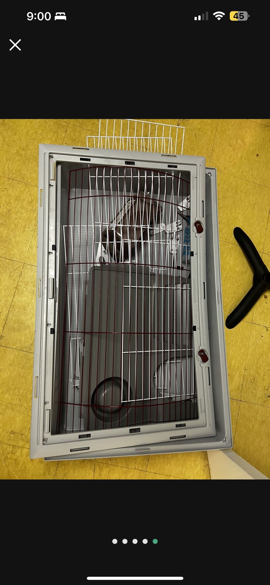 Guinea Pig Cage