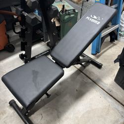 Weight Bench 