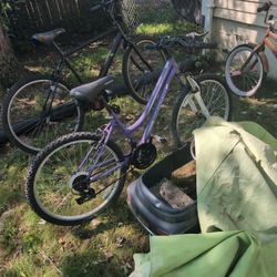 Purple GranitePeak Roadmaster Bike