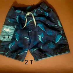 Toddler Boy Size 2T Swim Trunks Bathing Suit