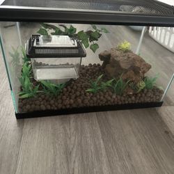 Reptile Tank