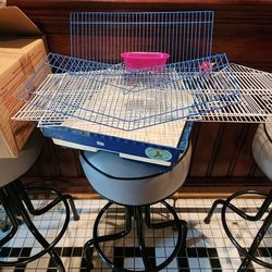 Bird Cage 