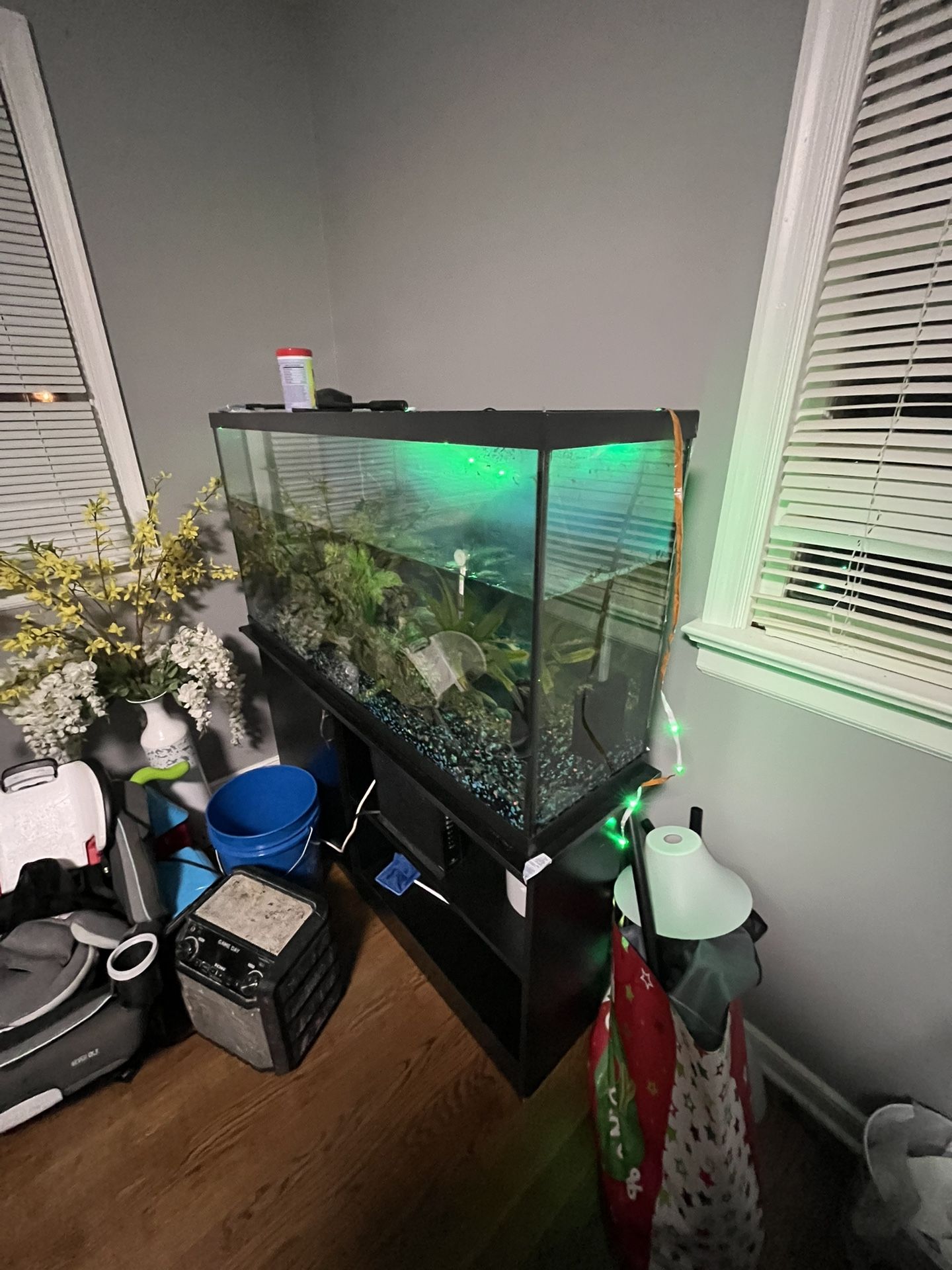 Fish Tank And Stand Come With Fish!!!