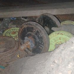 Weight Bar