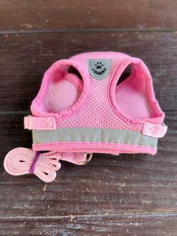 Pink Mesh Dog Harness and Leash Set - Size Small