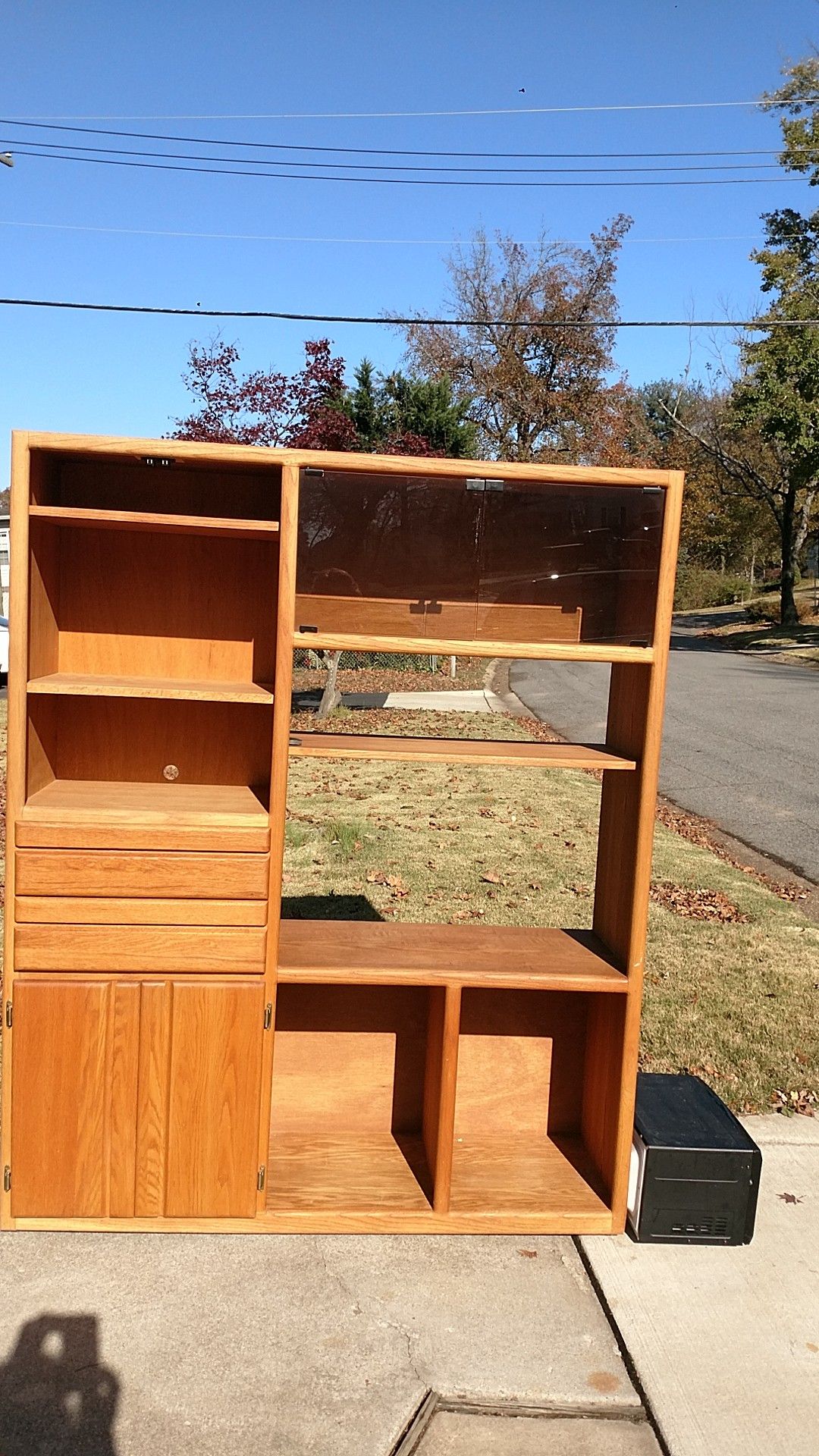 Entertainment center bookcase TV stand all free.