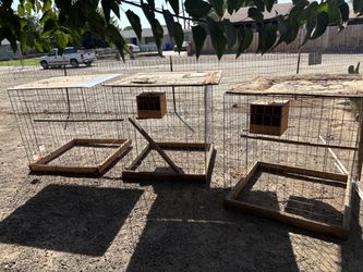 Cages jaulas