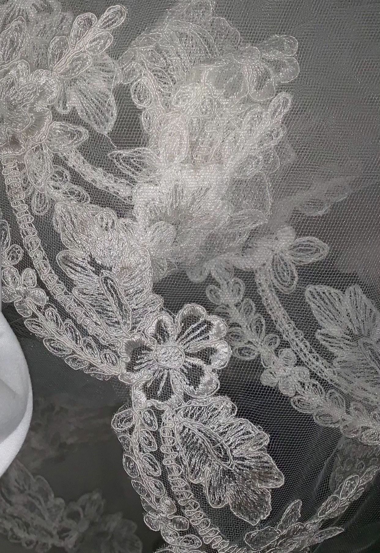 Ivory Cathedral, Wedding Veil (very Long)