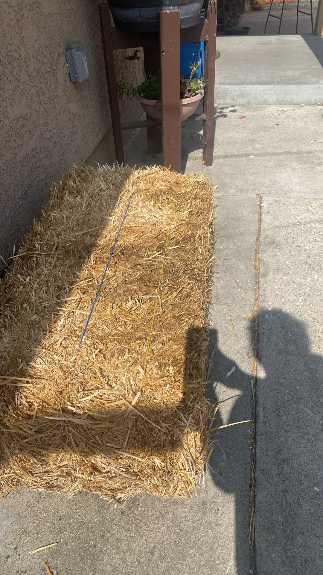 Hay