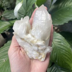 $20 - Quartz Crystal 