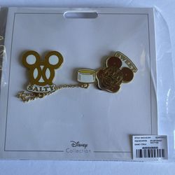 Disney Pin Set 