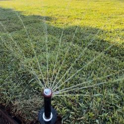 Brand New Rain Bird Sprinklers 