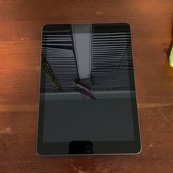 iPad 5th Gen 
