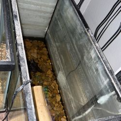 35 Gallon Fish Tank (Tall)