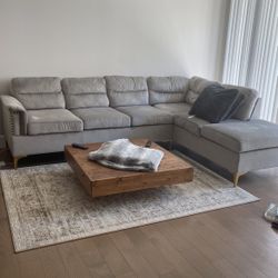 Grey Couch Sectional No Pets. 