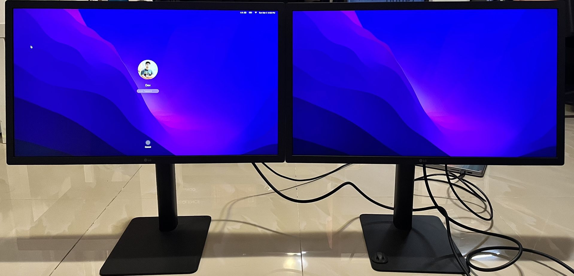 LG Ultrafine 24” 4K thunderbolt displays 