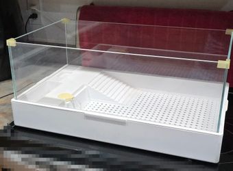 open-style glass amphibious aquarium setup.