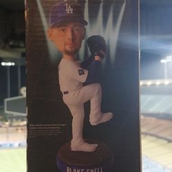 Blake Snell Bobblehead 