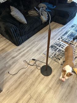 Standing Lamp (reading lamp)