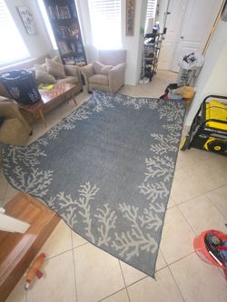 Carpet indoor outdoor 8x10