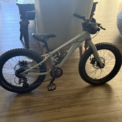 Giant - 20 Inch kid’s Mountain Bike