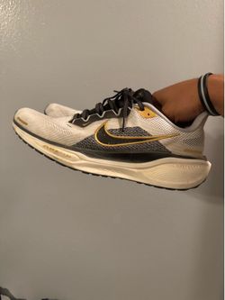 Nike Pegasus 41