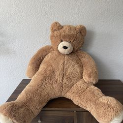 Large Teddy Bear