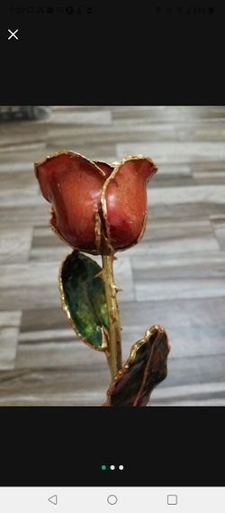 Rose Dipped In 24k Gold