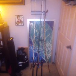 Three , 7 Ft Shakespeare Tiger Fishing Poles With  Cool Walking Stick And Fishing That