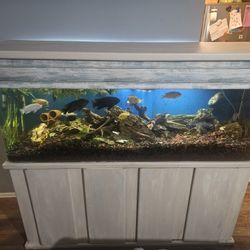 100 Gallon Fish Tank $600 