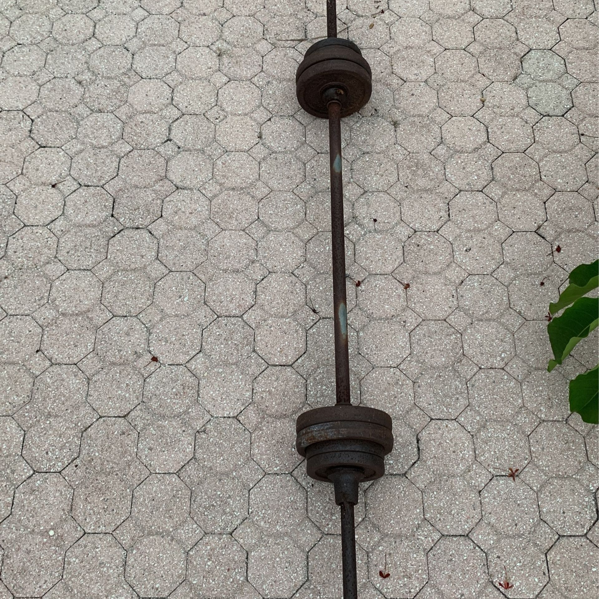 Weights