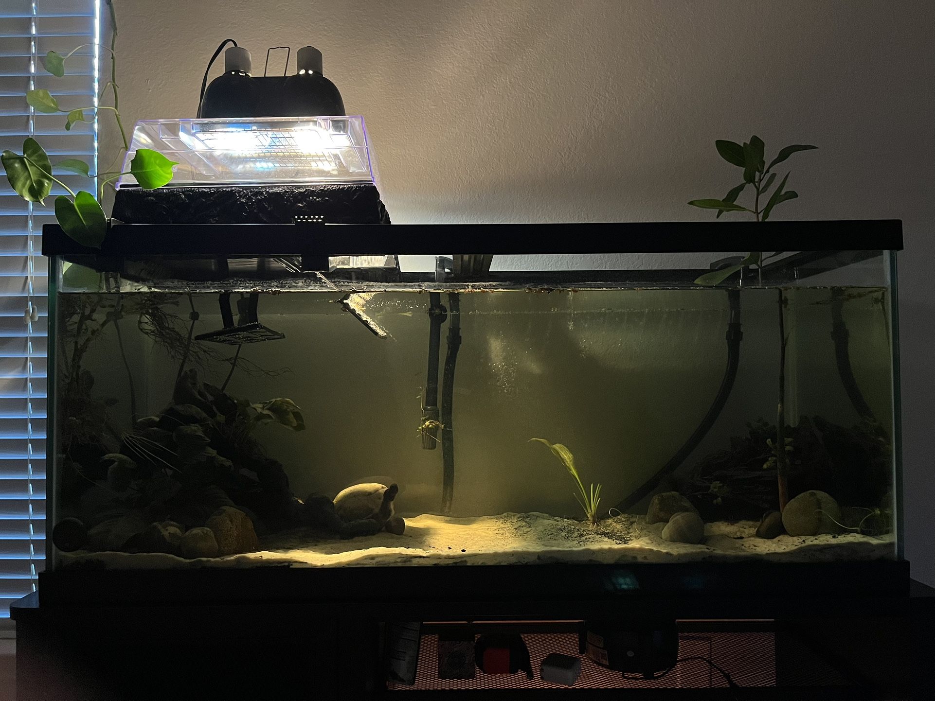 75 Gallon Tank