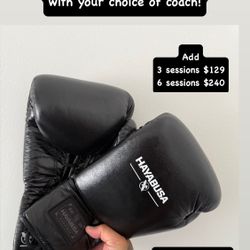 Hayabusa Brand New Gear + Training 