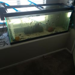fish tank 75gallon with fish and accessories 