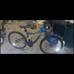 Mountain Bike