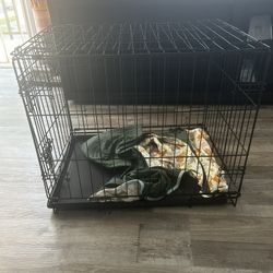 Kennel