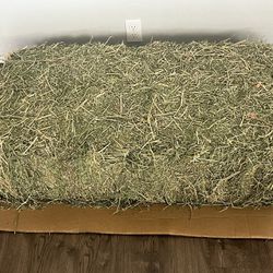 Alfalfa Hay Feed