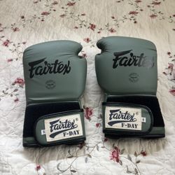Fairtex Muay Thai Gloves (14oz)